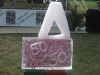 Rock for the Cure July 18, 09 104